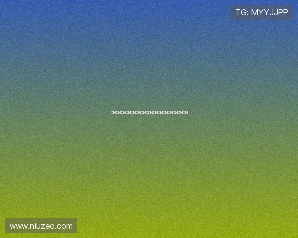 畅享版手机引领智慧生活体验升级与高性能长续航新选择全面实用之选